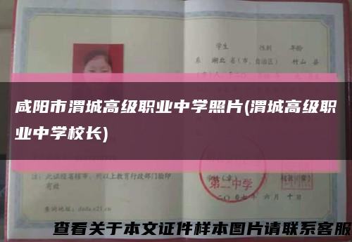 咸陽市渭城高級職業中學照片(渭城高級職業中學校長)縮略圖
