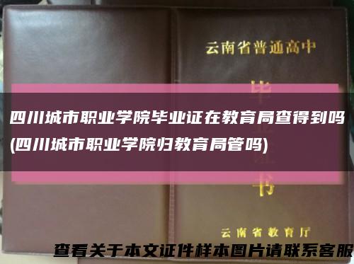 四川城市職業學院畢業證在教育局查得到嗎(四川城市職業學院歸教育局管嗎)縮略圖