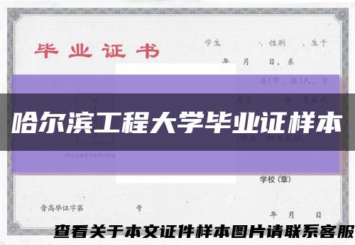 哈爾濱工程大學畢業證樣本縮略圖