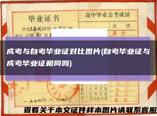 成考與自考畢業證對比圖片(自考畢業證與成考畢業證相同嗎)縮略圖