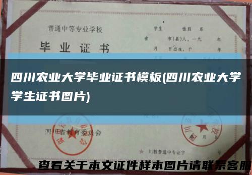 四川農業大學畢業證書模板(四川農業大學學生證書圖片)縮略圖