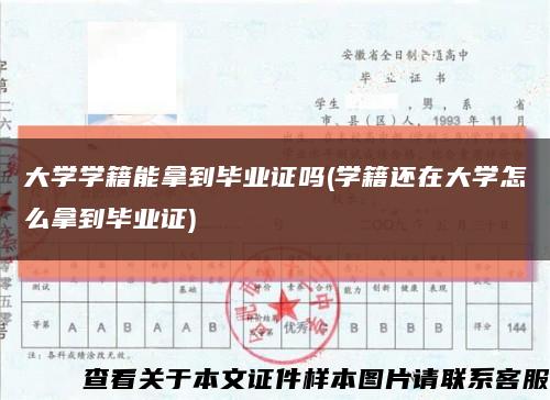 大學學籍能拿到畢業證嗎(學籍還在大學怎么拿到畢業證)縮略圖