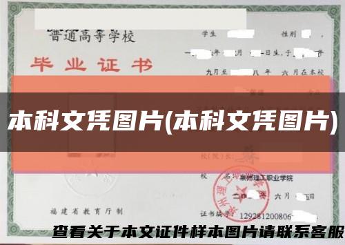 本科文憑圖片(本科文憑圖片)縮略圖
