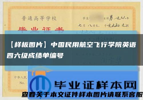 【樣板圖片】中國民用航空飛行學院英語四六級成績單編號縮略圖