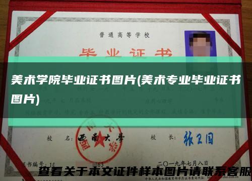 美術學院畢業證書圖片(美術專業畢業證書圖片)縮略圖
