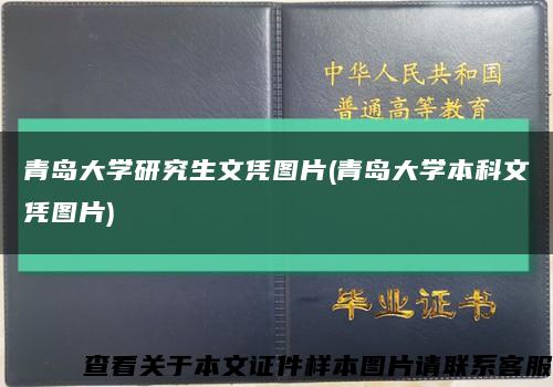 青島大學研究生文憑圖片(青島大學本科文憑圖片)縮略圖