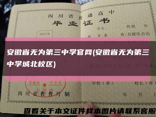 安徽省無為第三中學官網(安徽省無為第三中學城北校區)縮略圖