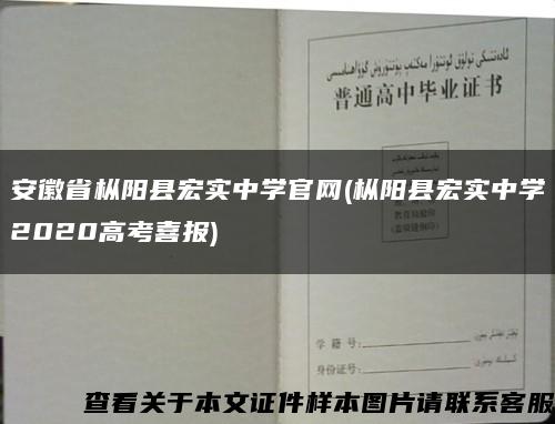 安徽省樅陽縣宏實中學官網(樅陽縣宏實中學2020高考喜報)縮略圖