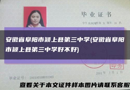 安徽省阜陽市潁上縣第三中學(安徽省阜陽市潁上縣第三中學好不好)縮略圖