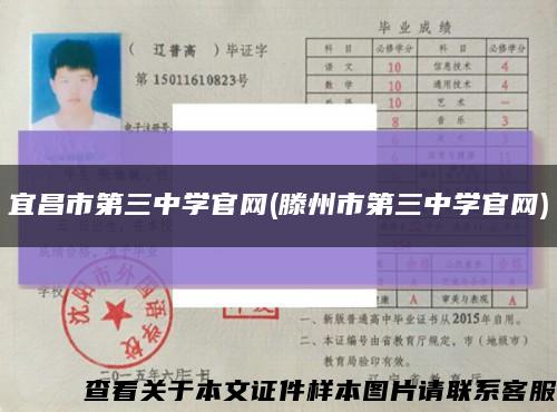 宜昌市第三中學官網(滕州市第三中學官網)縮略圖