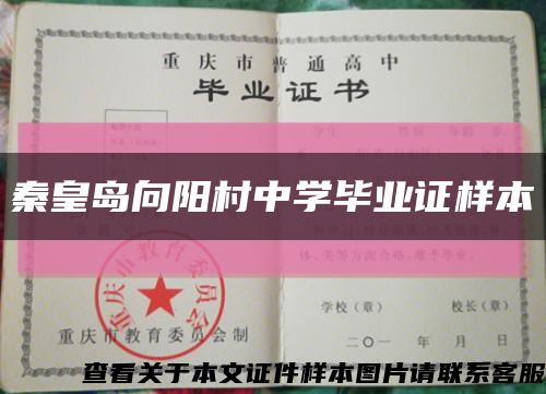 秦皇島向陽村中學畢業證樣本縮略圖