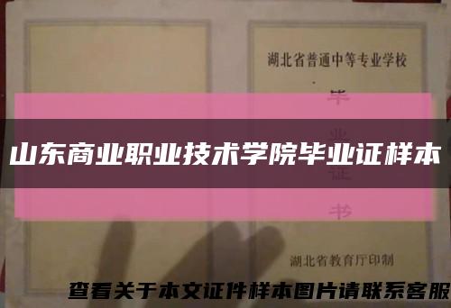 山東商業職業技術學院畢業證樣本縮略圖