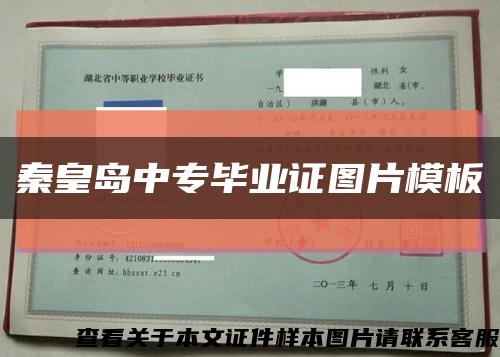秦皇島中專畢業證圖片模板縮略圖