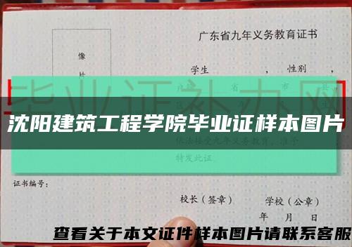 沈陽建筑工程學院畢業證樣本圖片縮略圖