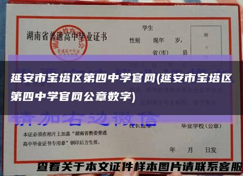 延安市寶塔區第四中學官網(延安市寶塔區第四中學官網公章數字)縮略圖