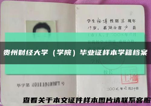 貴州財經大學（學院）畢業證樣本學籍檔案縮略圖