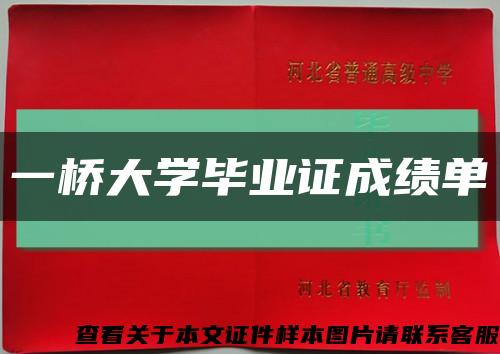 一橋大學畢業證成績單縮略圖