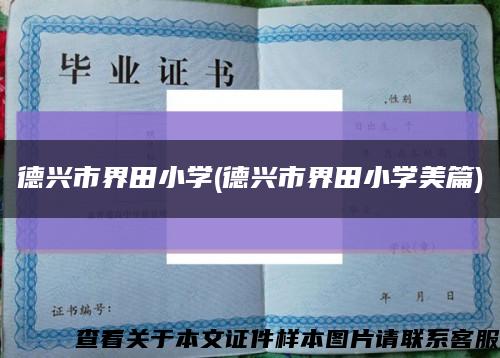 德興市界田小學(德興市界田小學美篇)縮略圖