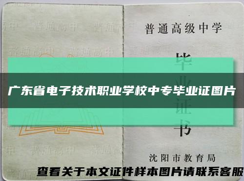 廣東省電子技術職業學校中專畢業證圖片縮略圖