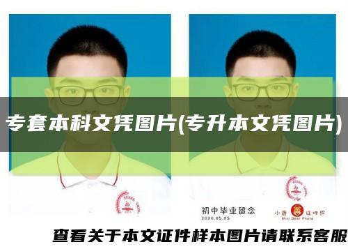專套本科文憑圖片(專升本文憑圖片)縮略圖