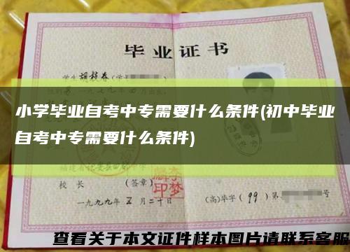 小學畢業自考中專需要什么條件(初中畢業自考中專需要什么條件)縮略圖