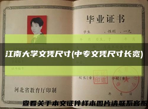 江南大學文憑尺寸(中專文憑尺寸長寬)縮略圖