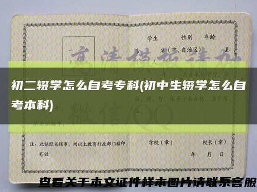 初二輟學怎么自考?？?初中生輟學怎么自考本科)縮略圖