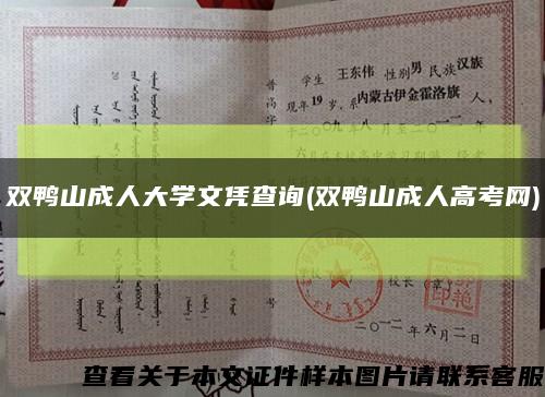 雙鴨山成人大學文憑查詢(雙鴨山成人高考網)縮略圖