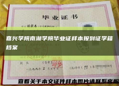嘉興學院南湖學院畢業證樣本報到證學籍檔案縮略圖