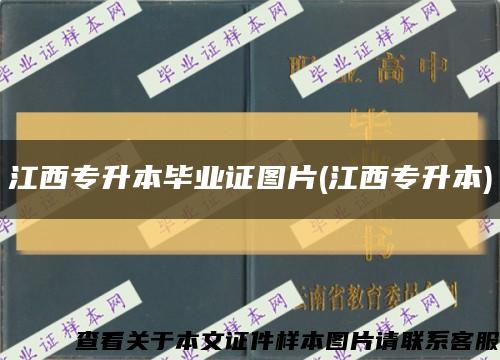 江西專升本畢業證圖片(江西專升本)縮略圖