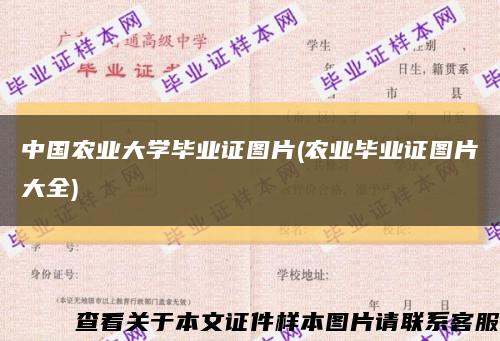 中國農業大學畢業證圖片(農業畢業證圖片大全)縮略圖