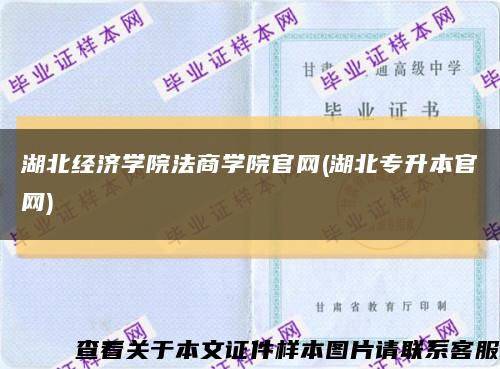 湖北經濟學院法商學院官網(湖北專升本官網)縮略圖
