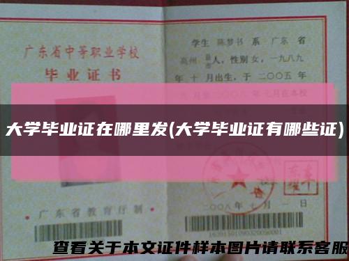大學畢業證在哪里發(大學畢業證有哪些證)縮略圖