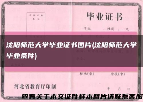 沈陽師范大學畢業證書圖片(沈陽師范大學畢業條件)縮略圖