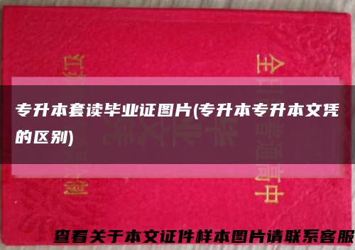 專升本套讀畢業證圖片(專升本專升本文憑的區別)縮略圖