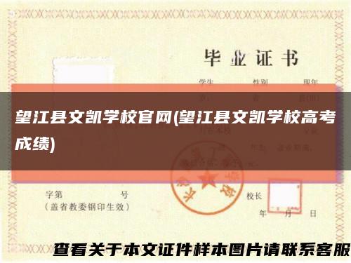 望江縣文凱學校官網(望江縣文凱學校高考成績)縮略圖