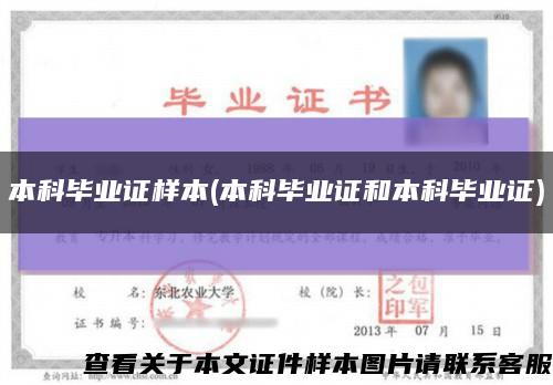 本科畢業證樣本(本科畢業證和本科畢業證)縮略圖