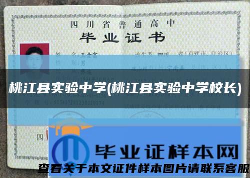 桃江縣實驗中學(桃江縣實驗中學校長)縮略圖