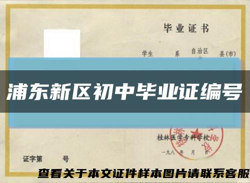 浦東新區初中畢業證編號縮略圖