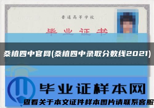 桑植四中官網(桑植四中錄取分數線2021)縮略圖