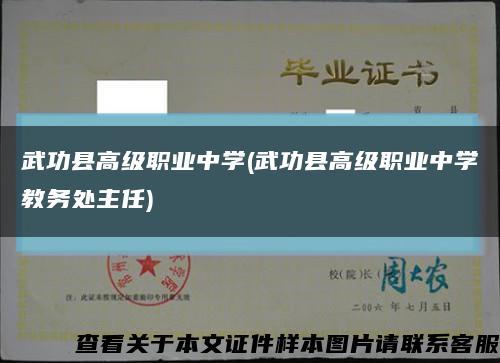 武功縣高級職業中學(武功縣高級職業中學教務處主任)縮略圖
