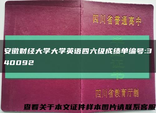 安徽財經大學大學英語四六級成績單編號:340092縮略圖