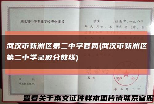武漢市新洲區第二中學官網(武漢市新洲區第二中學錄取分數線)縮略圖