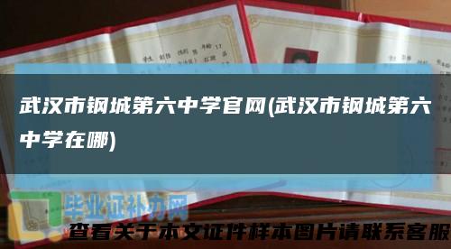 武漢市鋼城第六中學官網(武漢市鋼城第六中學在哪)縮略圖