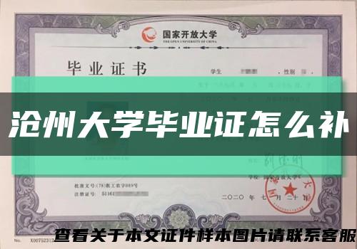 滄州大學畢業證怎么補縮略圖