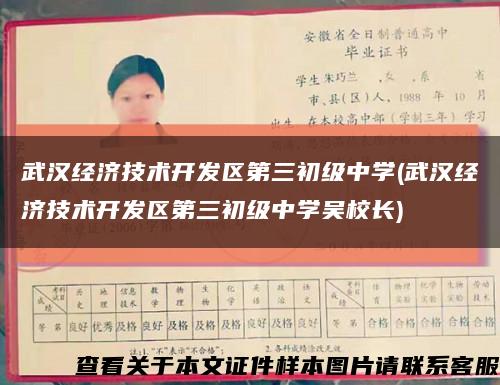 武漢經濟技術開發區第三初級中學(武漢經濟技術開發區第三初級中學吳校長)縮略圖