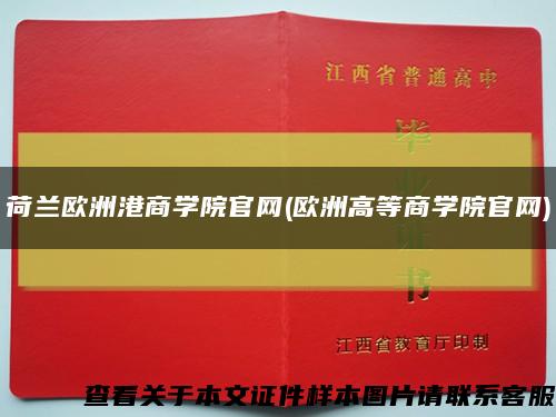 荷蘭歐洲港商學院官網(歐洲高等商學院官網)縮略圖