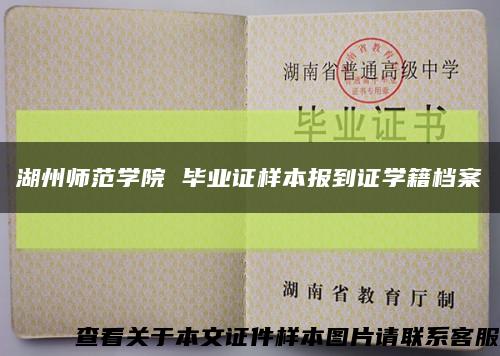 湖州師范學院 畢業證樣本報到證學籍檔案縮略圖