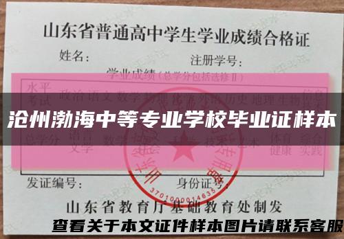 滄州渤海中等專業學校畢業證樣本縮略圖
