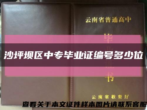 沙坪壩區中專畢業證編號多少位縮略圖
